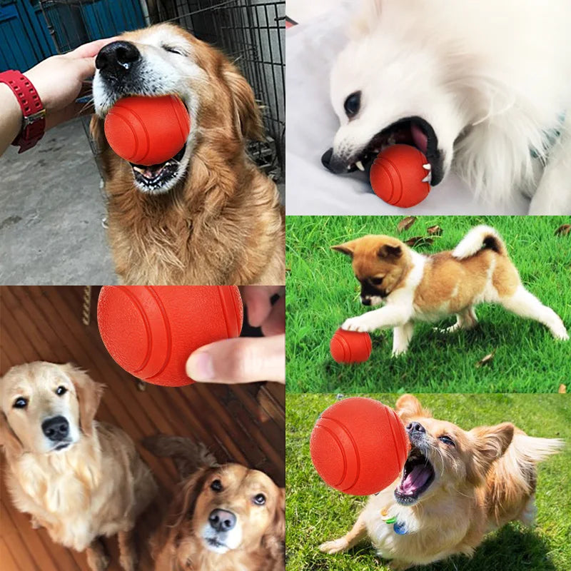Dog Toy Rubber Ball Bite-resistant