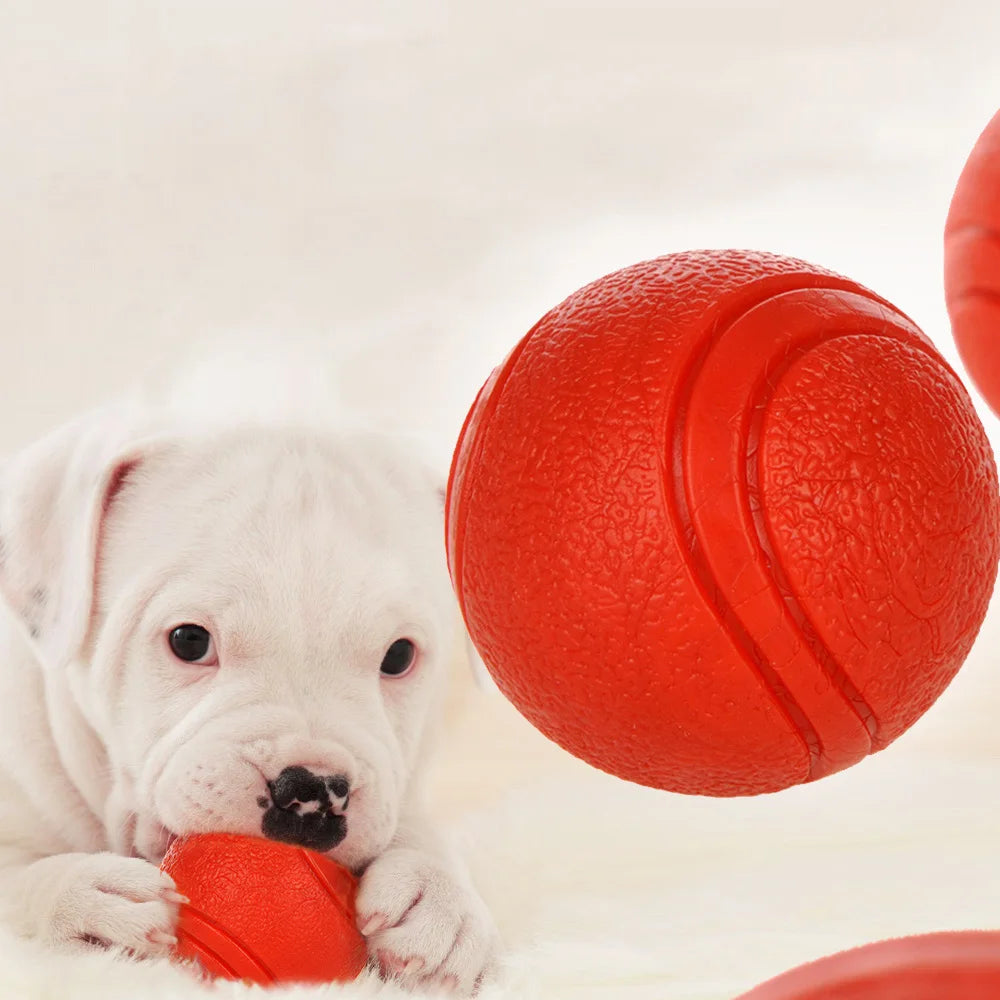 Dog Toy Rubber Ball Bite-resistant