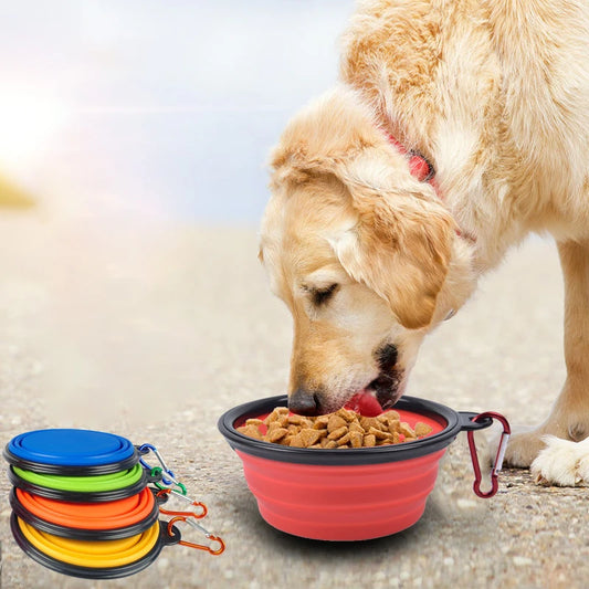 350ml Collapsible Pet Folding Silicone Bowl